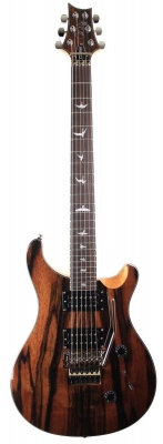PRS 2017 SE Custom 24 Floyd Ebony - gitara elektryczna, edycja limitowana-6364