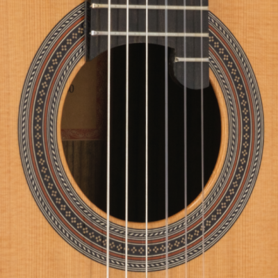 Prodipe Guitars Soloist 900 4/4 - Gitara klasyczna