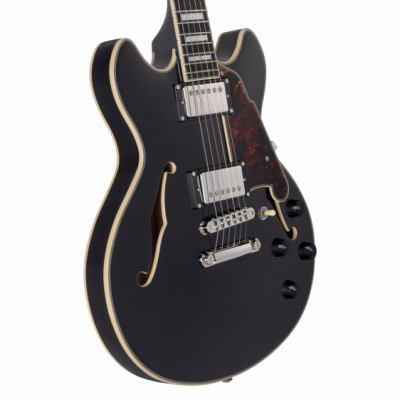 D'Angelico Premier Mini DC Black Flake - gitara elektryczna