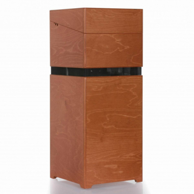 ACUS ALLAROUND 8 WOOD - Wzmacniacz do instrumentów akustycznych