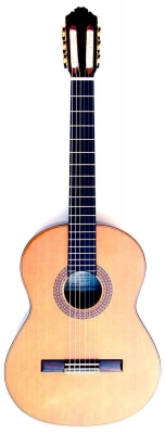 R. Moreno 550 CEDR - gitara klasyczna - wyprzedaż-378