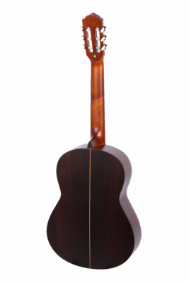 SAGA C800 - Gitara klasyczna 4/4