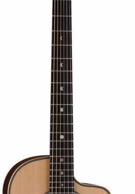 Luna AMP100 - gitara elektroakustyczna-3784