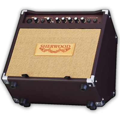 CARLSBRO SHERWOOD 20 - Combo do gitary akustycznej