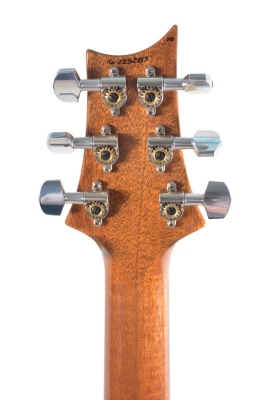 PRS Custom 24 10-Top Trampas Green - gitara elektryczna USA-6035