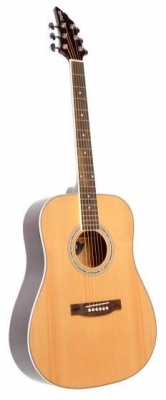 FlyCat PRM NT Premium - gitara akustyczna