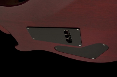 PRS SE Standard 24 VC - gitara elektryczna-4735
