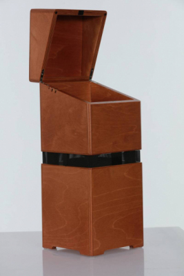 ACUS ALLAROUND 4 WOOD - Wzmacniacz do instrumentów akustycznych