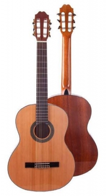 JM Forest Ispana 4/4 - gitara klasyczna-5865