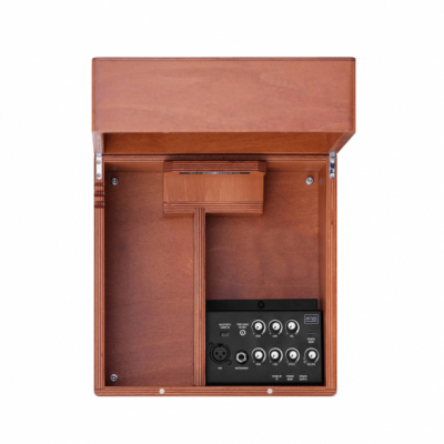 ACUS ALLAROUND 10 WOOD - Wzmacniacz do instrumentów akustycznych