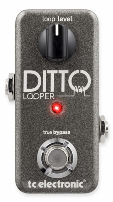 TC Electronic Ditto Looper - efekt gitarowy