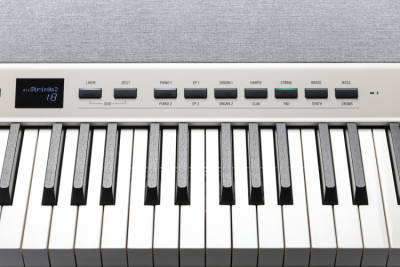 Kurzweil KA-P1 White - Stage Piano
