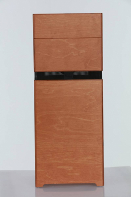 ACUS ALLAROUND 8 WOOD - Wzmacniacz do instrumentów akustycznych