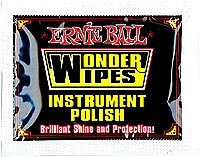 ERNIE BALL EB 4248 produkt do konserwacji gitar