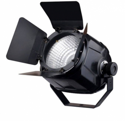 Fractal Lights PAR LED COB 100 W - 50 W WW + 50W PW - Lampa LED