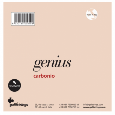 Galli GR95 Genius normal tension - struny do gitary klasycznej-4428