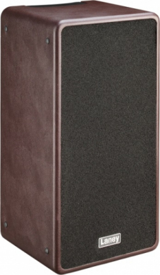 LANEY A-DUO - Combo do gitary akustycznej