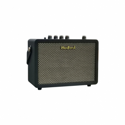 DK Technology iG-10Pro - Wzmacniacz do gitary elektrycznej