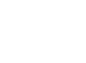 Austrian Audio