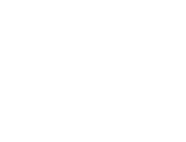 Faith Guitars
