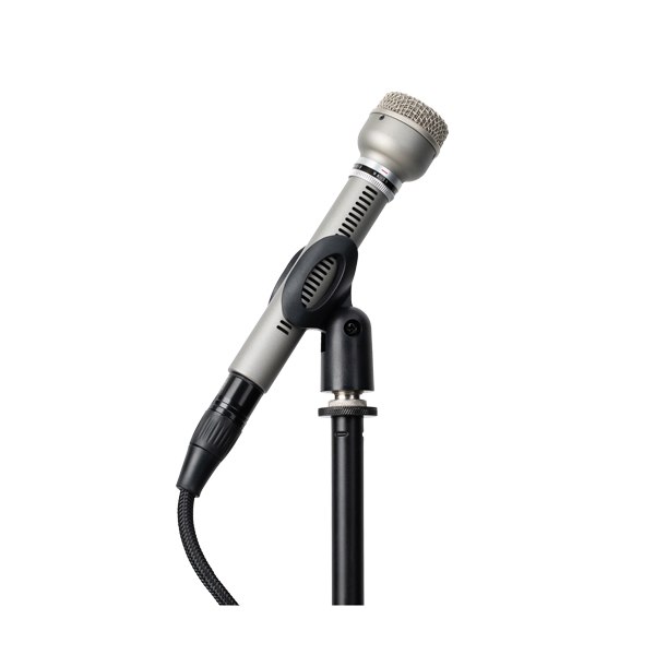 Warm Audio WA-19 - Mikrofon dynamiczny