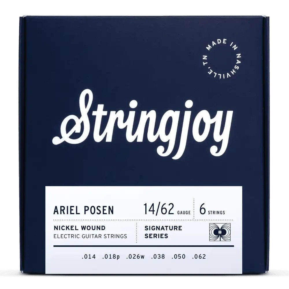 Stringjoy ARTAP struny do gitary elektrycznej SIGNATURES 14-62 Ariel Posen Artist Series