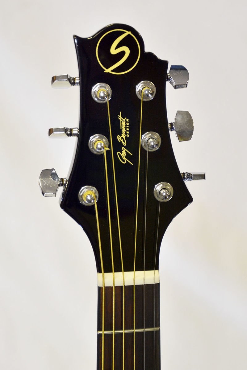 Samick Gold Rush D-1 Black - gitara akustyczna dreadnought