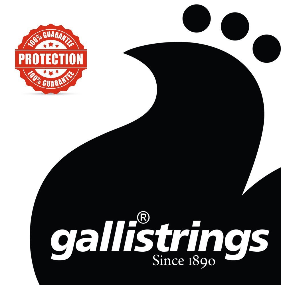 Galli EG1252 Blues Heavy - struny powlekane do gitary elektrycznej .012-.052