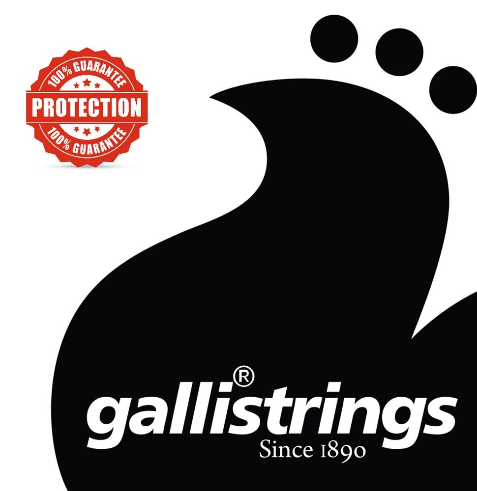 Galli RSB40105 Regular Custom - struny do gitary basowej, 4 struny .040-.105