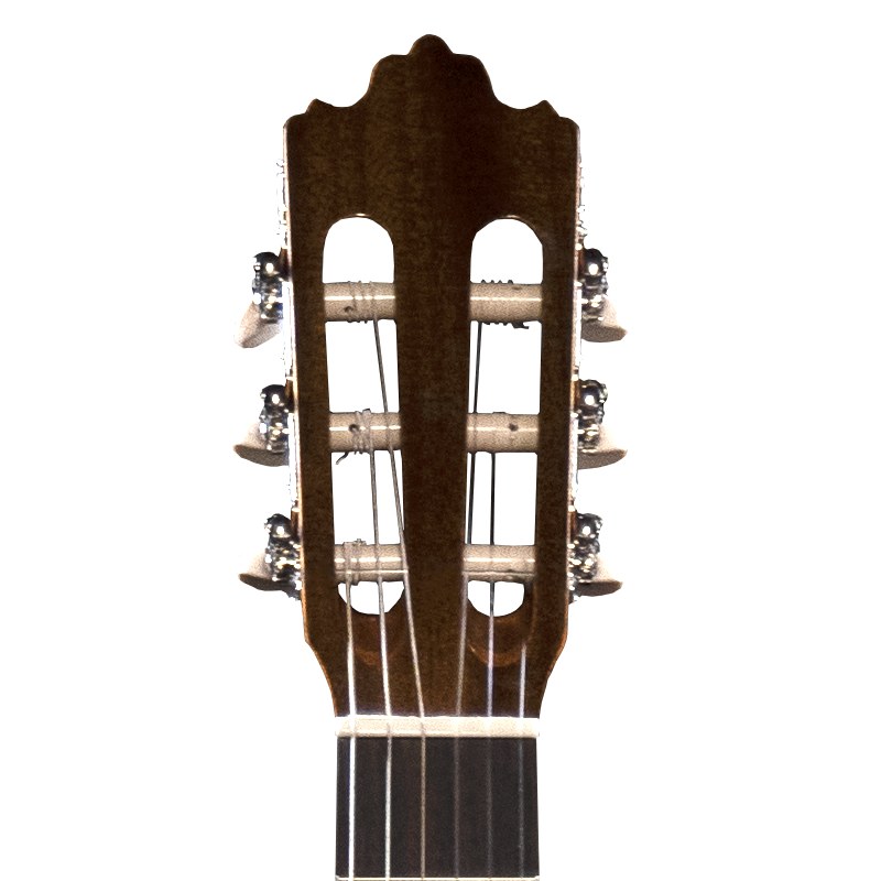 Prodipe Guitars Recital 300 - gitara klasyczna