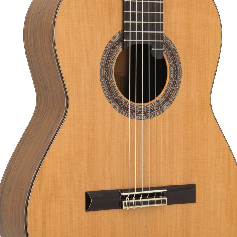 Prodipe Guitars Soloist 900 - gitara klasyczna