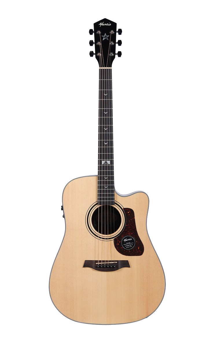 Gitara elektro-akustyczna Mantic GT-10DCE NA
