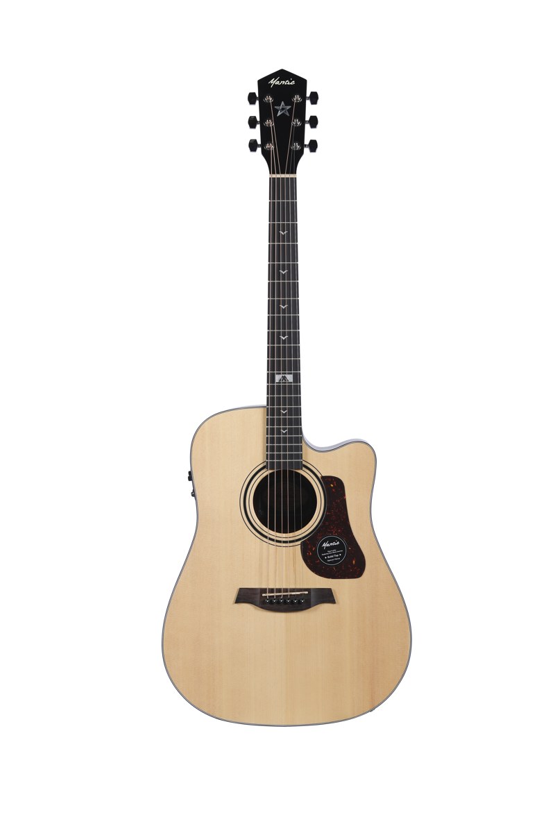 Gitara akustyczna Mantic GT-10DC NA
