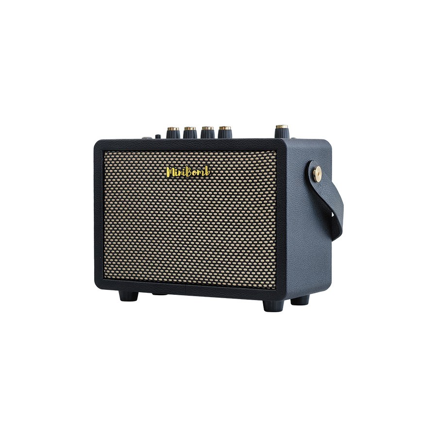 Wzmacniacz do gitary elektrycznej DK Technology iG-10Pro