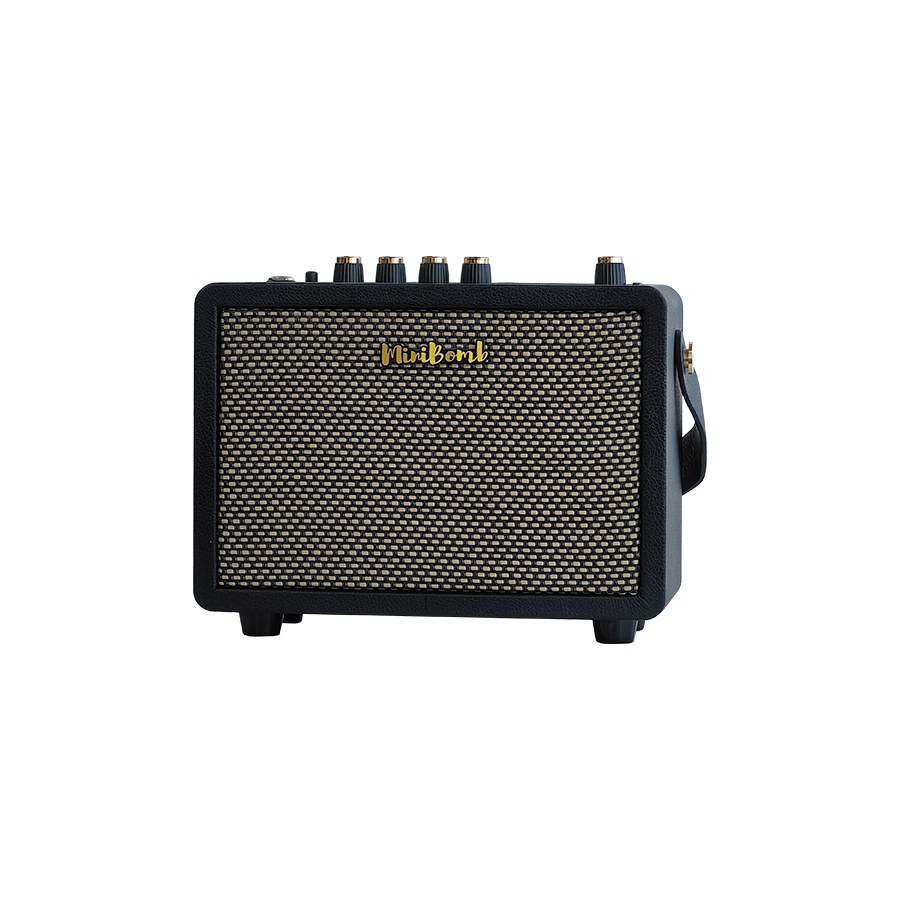 Wzmacniacz do gitary elektrycznej DK Technology iG-10Pro