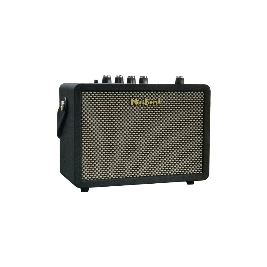 Wzmacniacz do gitary elektrycznej DK Technology iG-10Pro