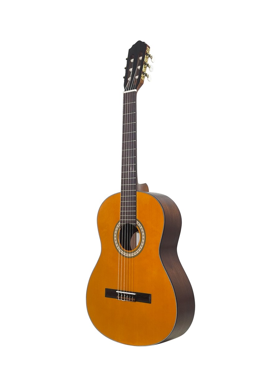 Gitara klasyczna SAGA C1