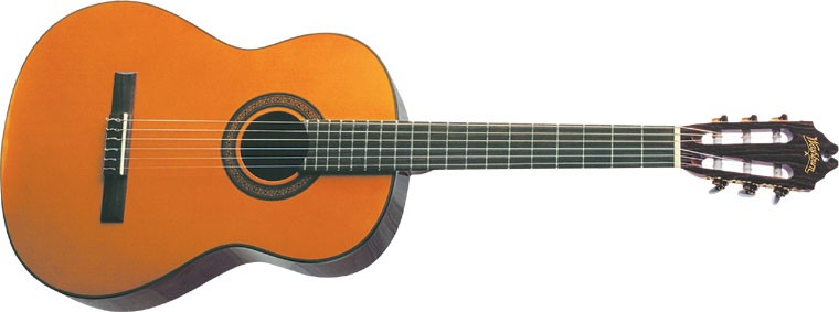 WASHBURN C 40 (N) gitara klasyczna