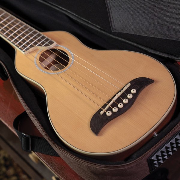 WASHBURN RO 10 (B) gitara akustyczna