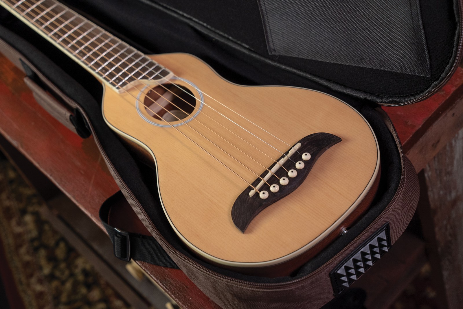 WASHBURN RO 10 (N) gitara akustyczna