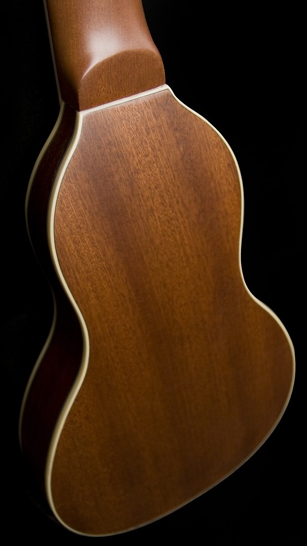 WASHBURN RO 10 (N) gitara akustyczna