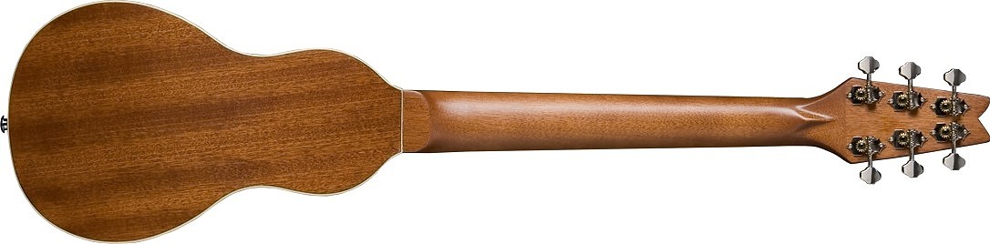 WASHBURN RO 10 (N) gitara akustyczna