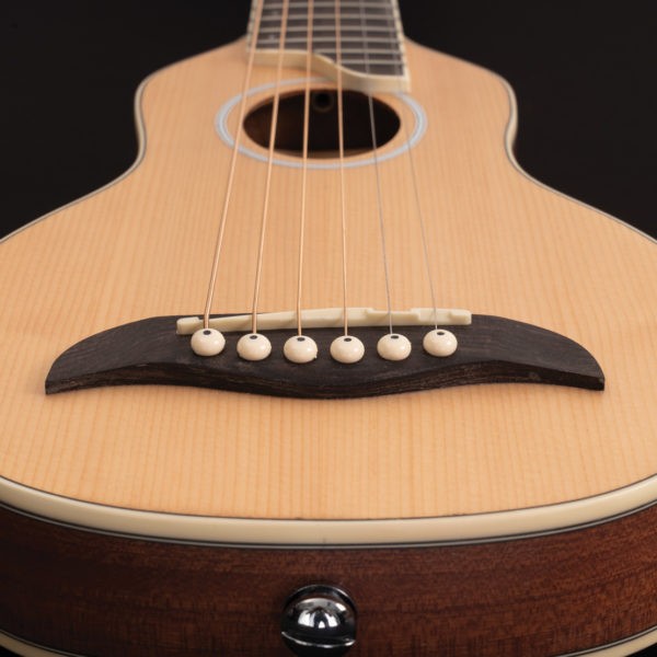 WASHBURN RO 10 (N) gitara akustyczna
