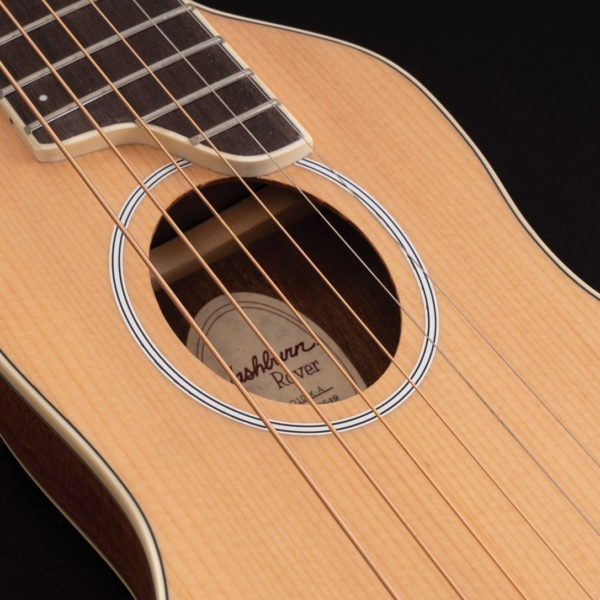 WASHBURN RO 10 (N) gitara akustyczna