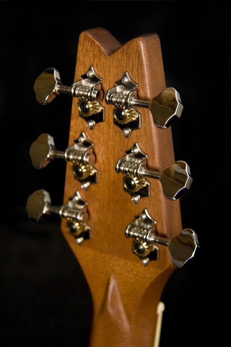 WASHBURN RO 10 (N) gitara akustyczna