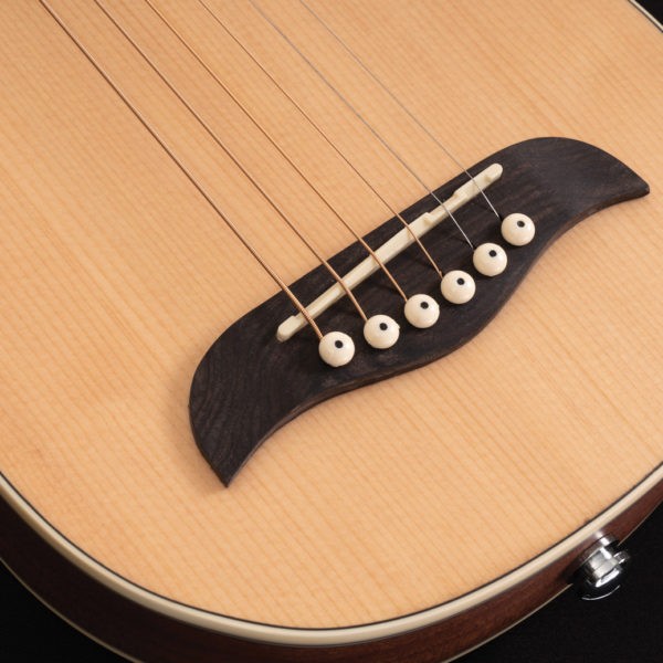 WASHBURN RO 10 (N) gitara akustyczna