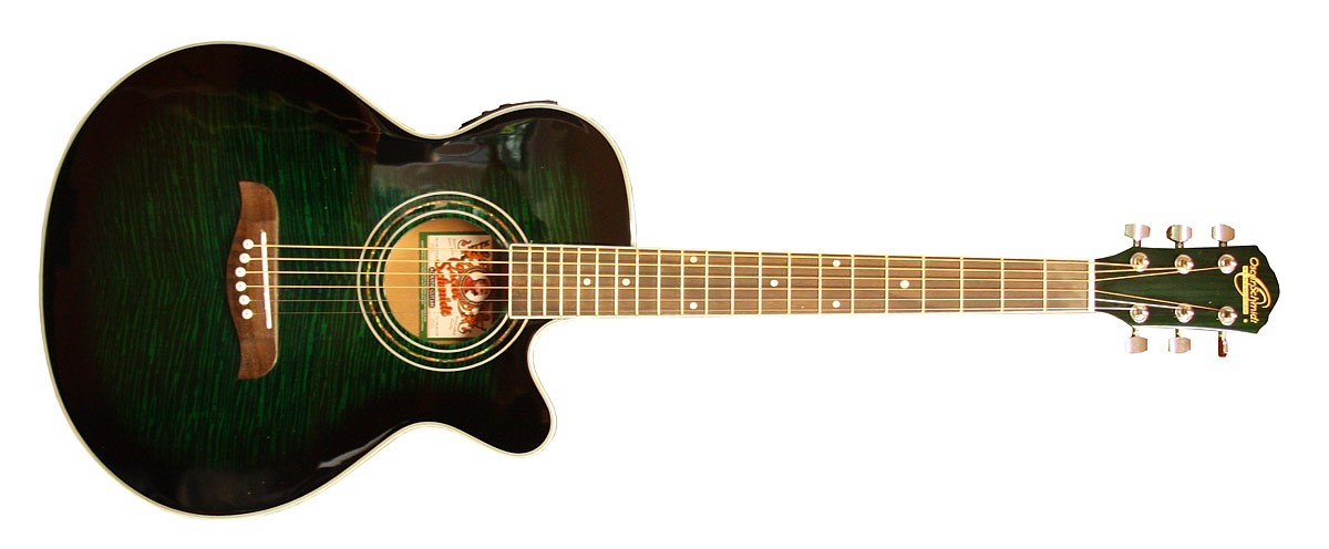 OSCAR SCHMIDT OG 10 CE (FTGR) gitara elektroakustyczna