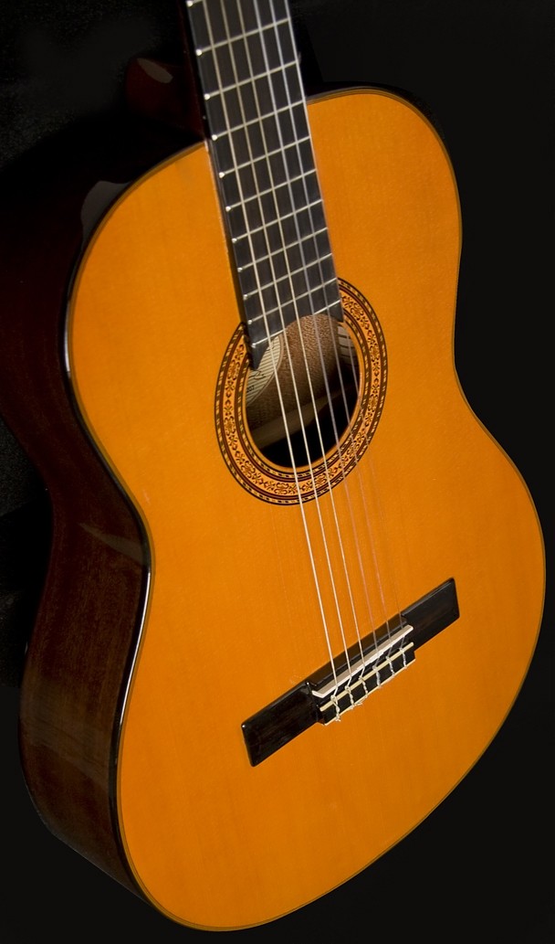 WASHBURN C 5 (N) gitara klasyczna
