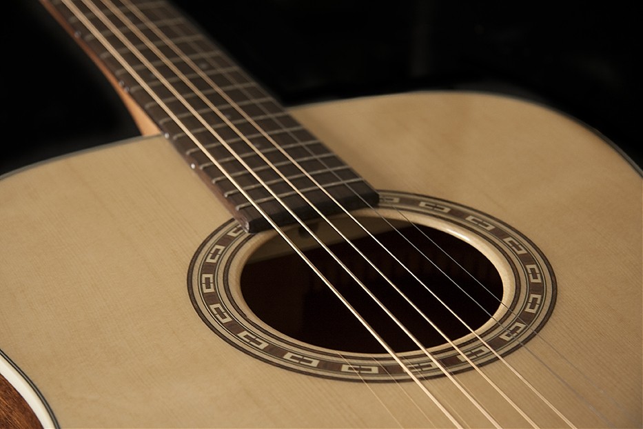 WASHBURN WD 7 S (N) gitara akustyczna
