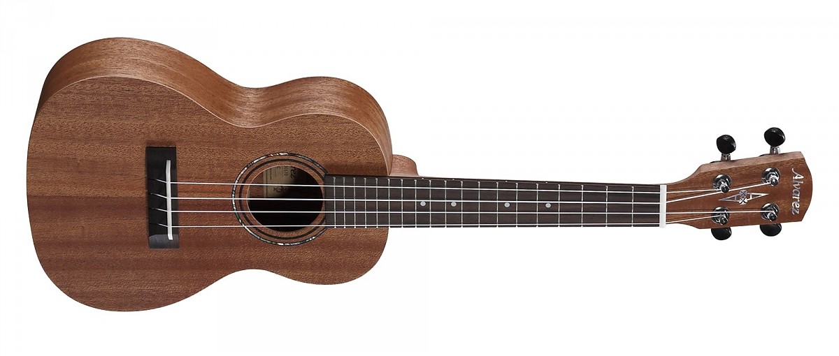 ALVAREZ RU 22 C ukulele